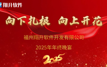 向下扎根 向上開花|2024年翔升軟件年終晚宴圓滿舉行